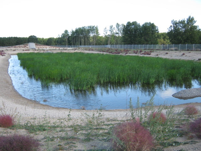 Liner-Wetland